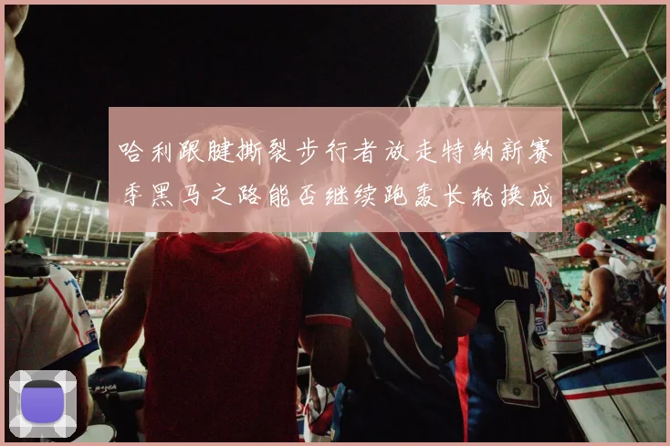 哈利跟腱撕裂步行者放走特纳新赛季黑马之路能否继续跑轰长轮换成关键